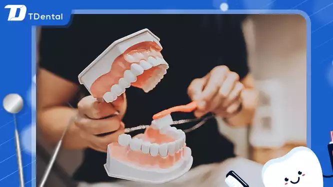 Tầm quan trọng của việc đánh răng đúng cách và vệ sinh răng miệng