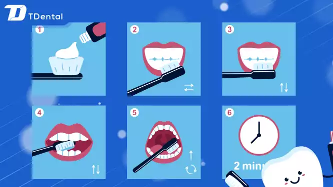 Hướng dẫn đánh răng đúng cách, vệ sinh răng miệng chuẩn nha khoa
