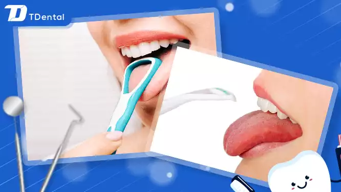 hướng dẫn cách đánh răng đúng cách, vệ sinh răng miệng hiệu quả
